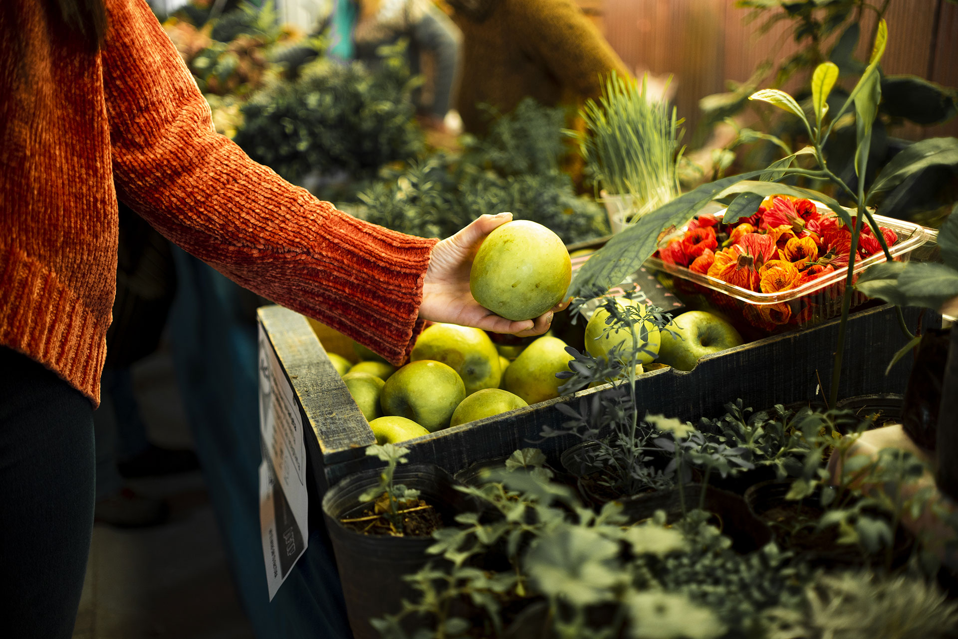 food-trading-bg